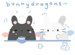 bunnydragonco